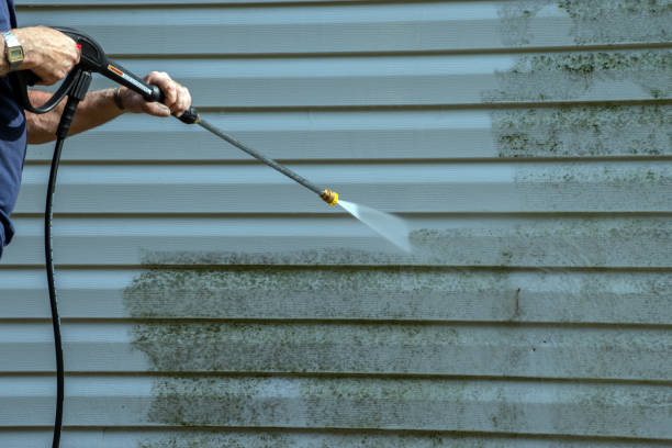 Best Patio and Deck Pressure Washing  in Windermere, FL
