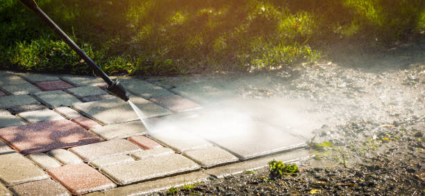 Best Fence Cleaning  in Windermere, FL